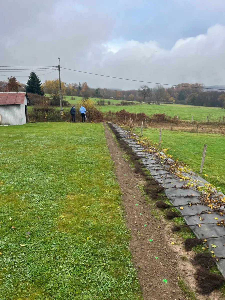 Création de jardin résidentiel